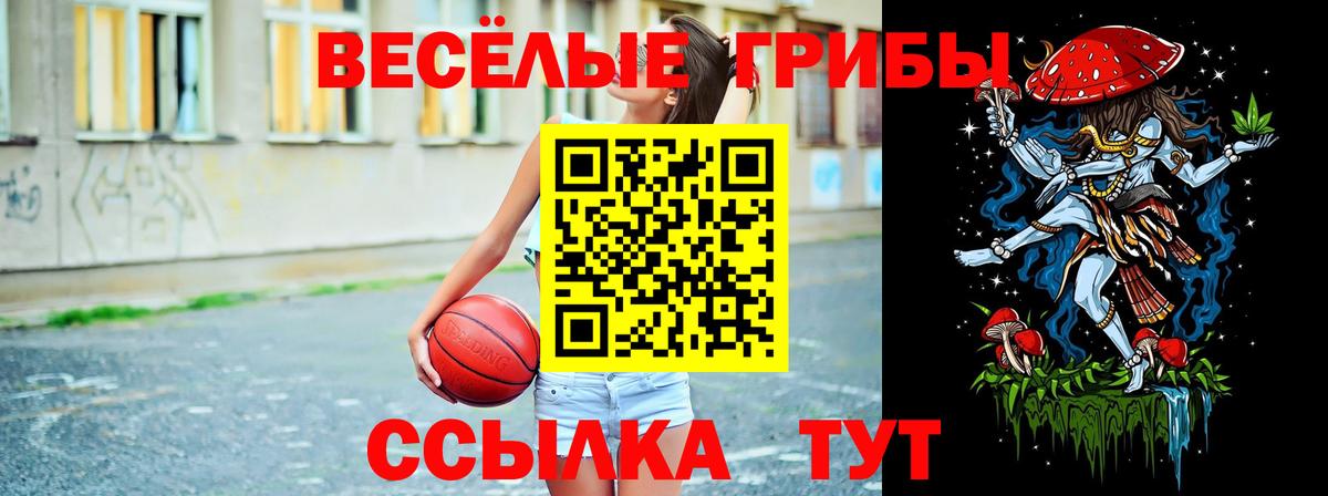 Галлюциногенные грибы мицелий Новошахтинск